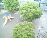 公園