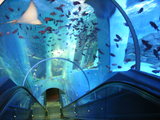 水族館