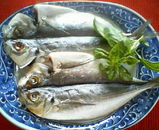 鯵干物