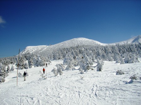 山頂