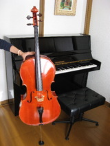 ff865b14.jpg