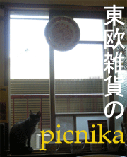 picnika¡