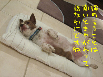 嫁の話