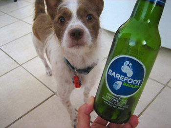 フレーバービール