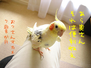 便利