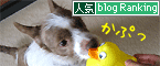 ランキングバナー