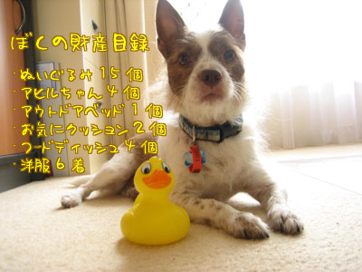財産目録