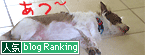 ランキングバナー3