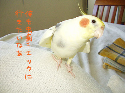俺も行く