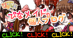 ぴなメイド個人blog