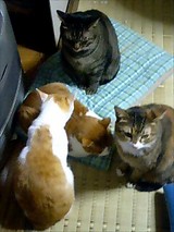 22f5bd68.jpg