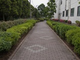 7663609e.jpg