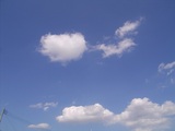 7a620dca.JPG