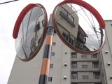 b3a81768.jpg