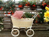 pusupusu_babycar