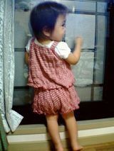 auntstella_1