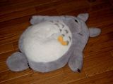 totoro_tssyucover_1
