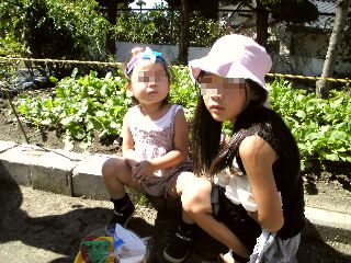 hatahiroi_3