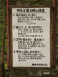 yudanaka_14