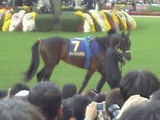 acad8965.jpg