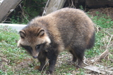 5434c934.jpg