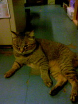 20080118くーちゃん