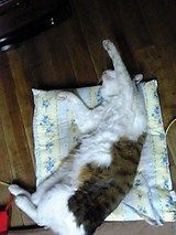 �֡����Ӥ�2