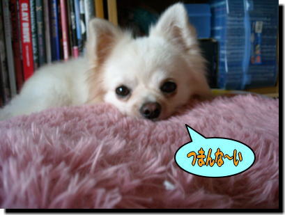 ¤Ä¤Þ¤ó¤Ê¤¤
