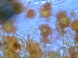 ������˦��������