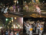 新座阿波踊り