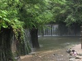 �ڰ�����������