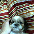 38db3227.jpg