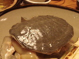 1ae552f1.jpg