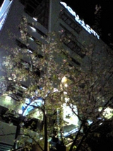 7038965d.JPG