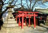 torii_wood
