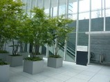 toranomon_int2