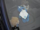 ＦＦ幕張20091112