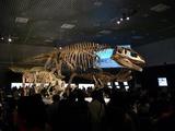 Dinosaurs02