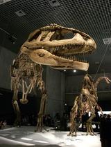 Dinosaurs04
