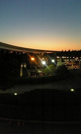 28306189.jpg