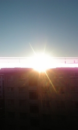 294196f2.jpg