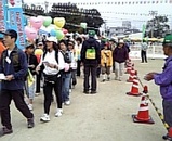 3848748f.jpg