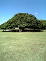 44f1dc8d.jpg