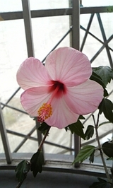 49d833db.jpg