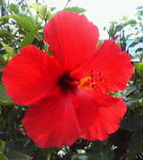 52f95d4f.jpg