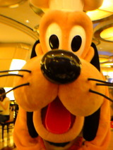 552d11d7.jpg