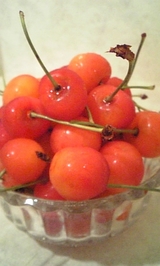 6425d919.jpg