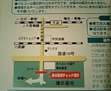 7541a985.jpg