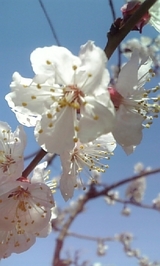 89d349aa.jpg