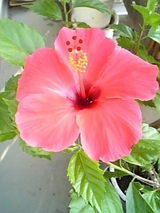 90287d7b.jpg